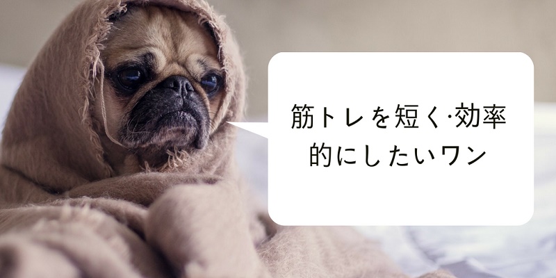 f:id:kevinsakai:20180111152544j:plain f:id:kevinsakai:20180111152544j:plain