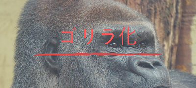 f:id:kevinsakai:20180117131811p:plain f:id:kevinsakai:20180117131811p:plain